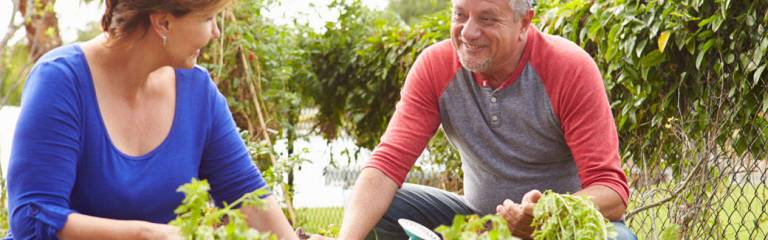 Jesus warned of three weeds