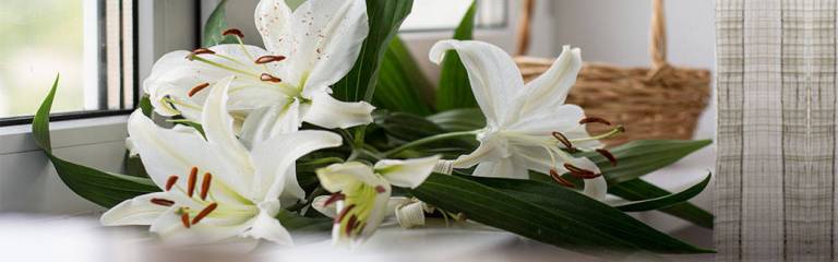 Easter: What’s Your Story?