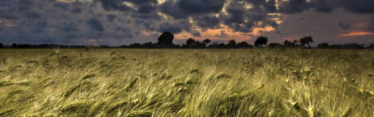 Finding Hope in the Darkness of Grief