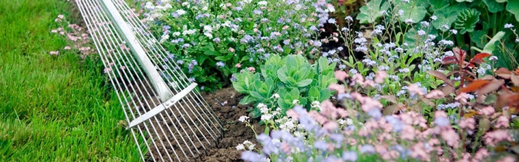 3 Weeds to Pull From Your Marriage Garden