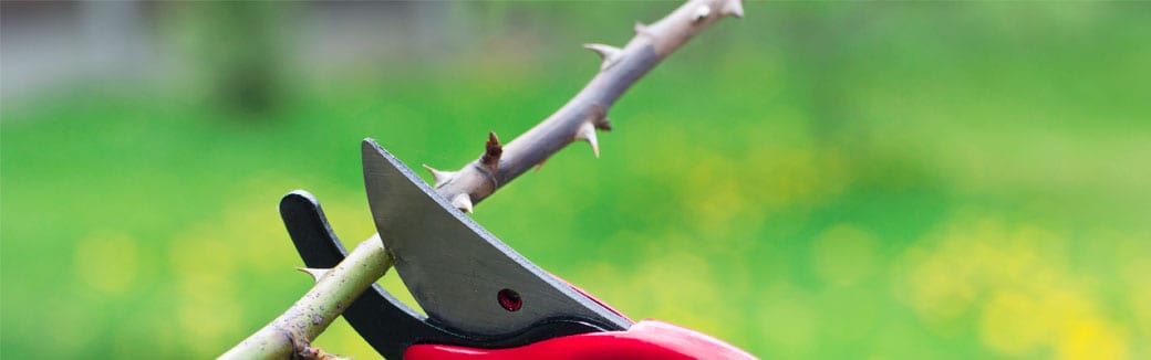 Questions about Christians