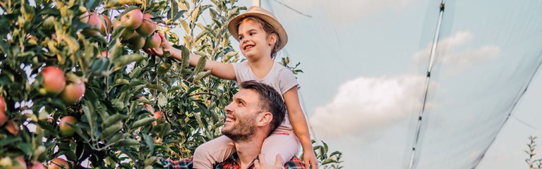 Can I Teach the Fruit of the Spirit to My Child?