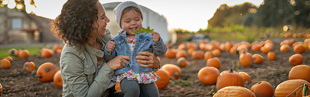 fall bucket list