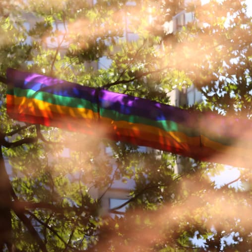 Young Adults | Sexual Wholeness | FamilyLife® | Born again this way